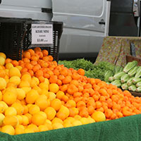 Oranges from Farmers Market